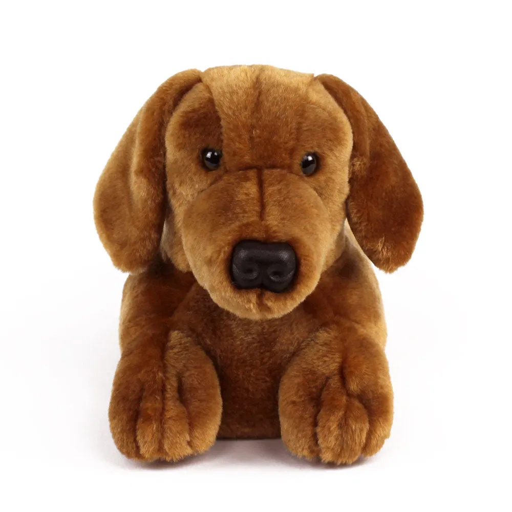 Dachshund Slippers