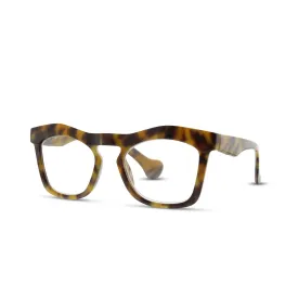 KATE | Tortoise